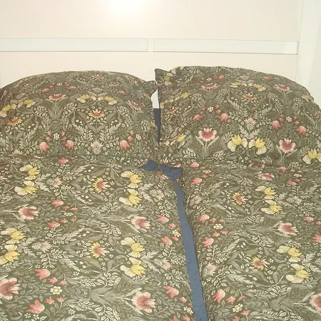 Private Apart. Near Elbe アパート ドレスデン